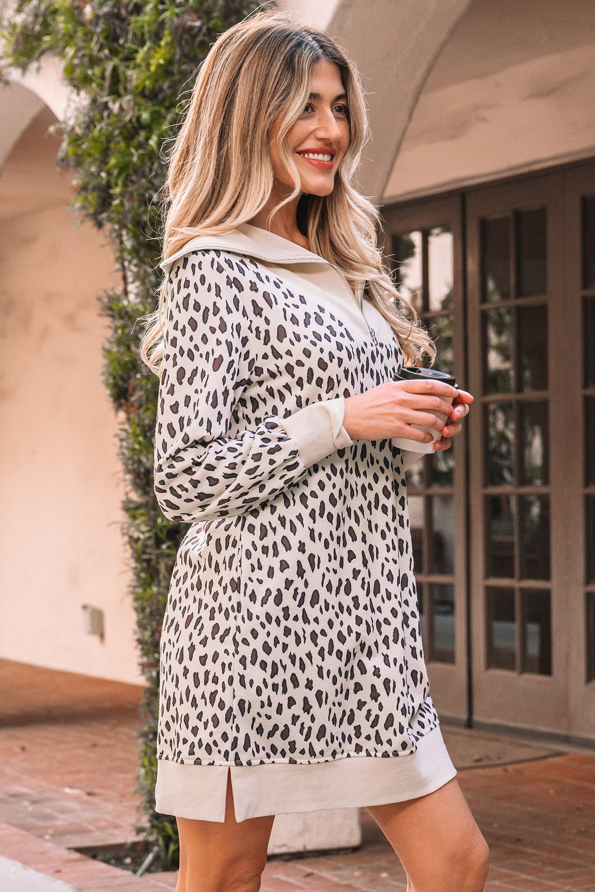 Leopard Print Mini Dress