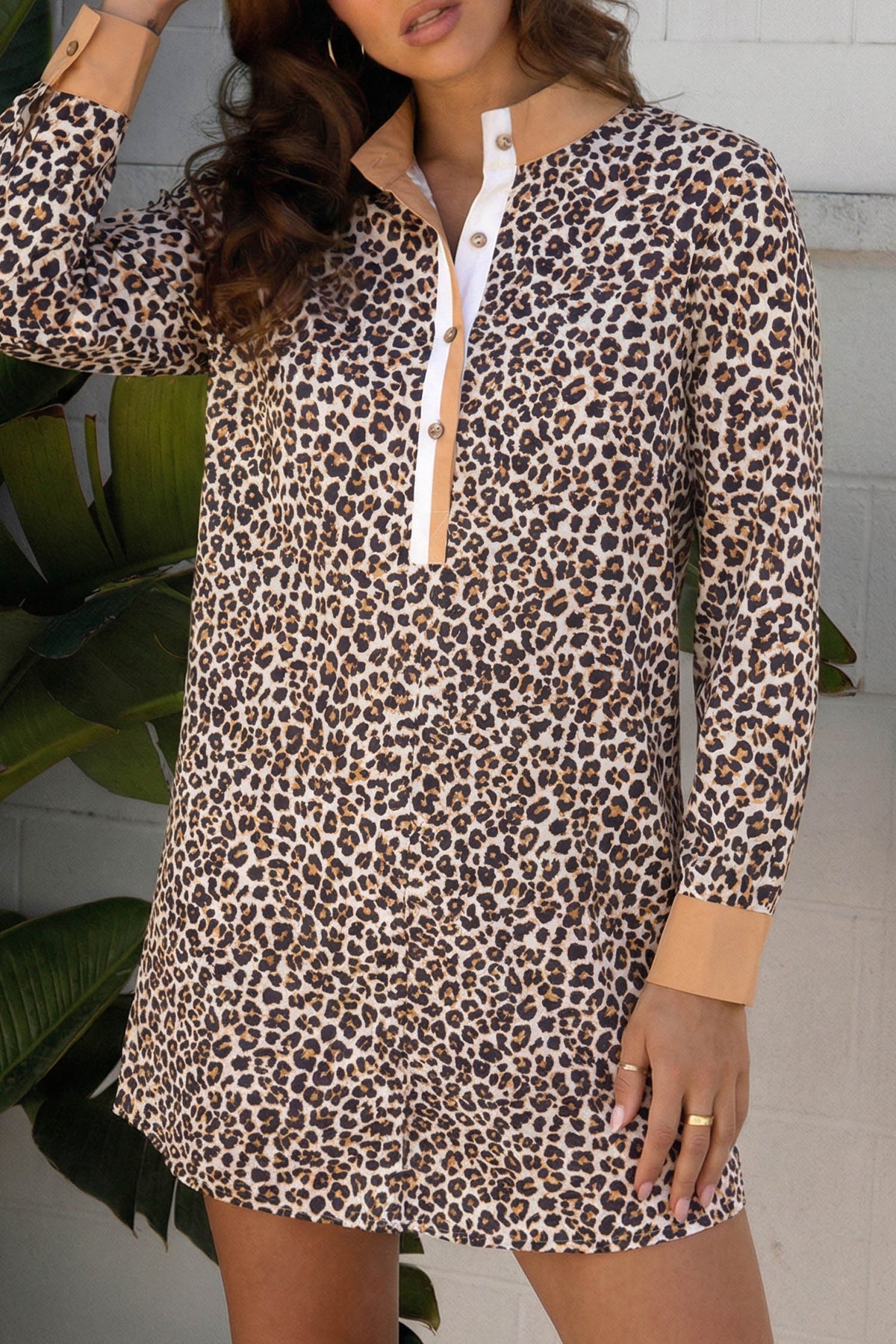 Striped Leopard Print Long Sleeve Dress
