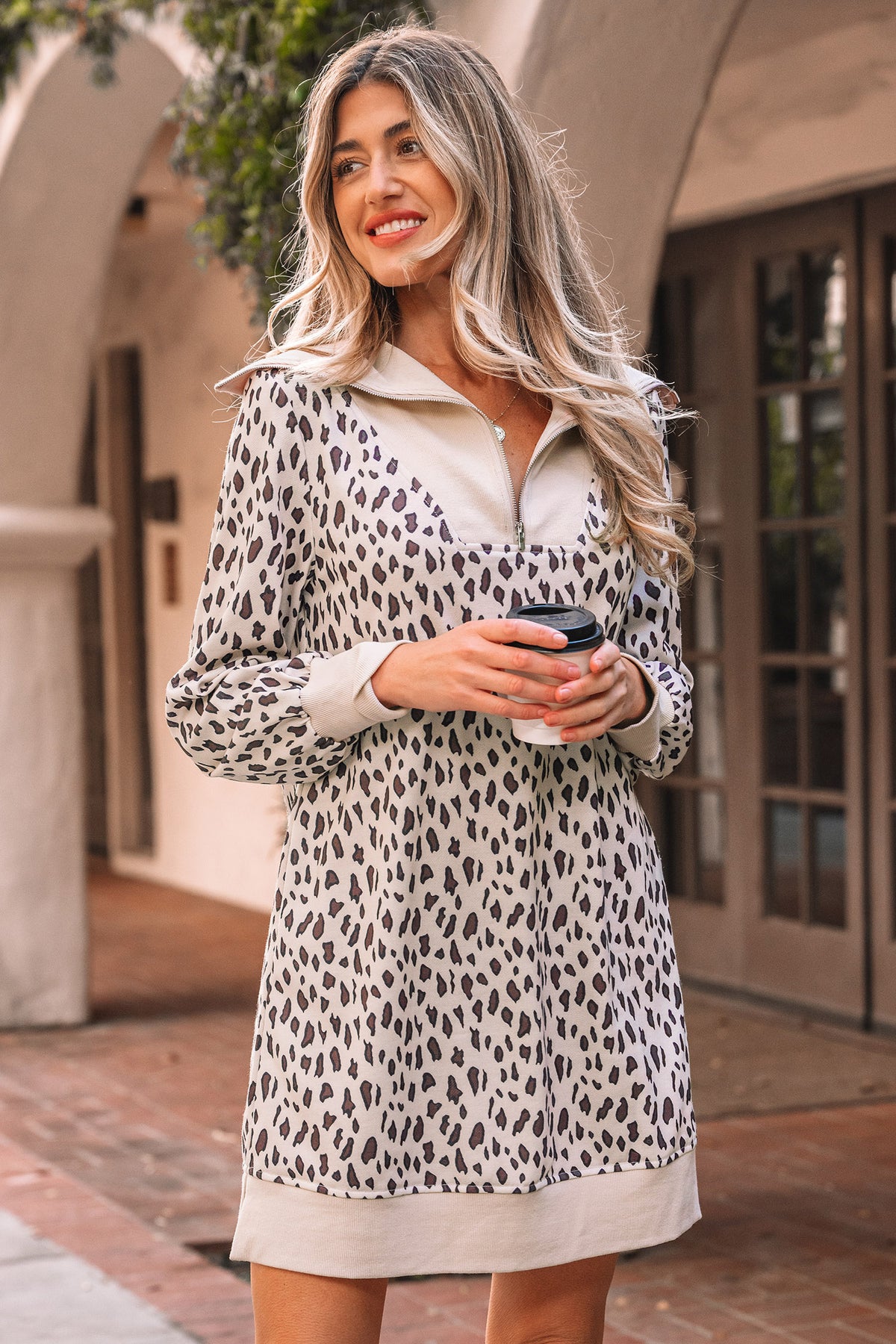 Leopard Print Mini Dress